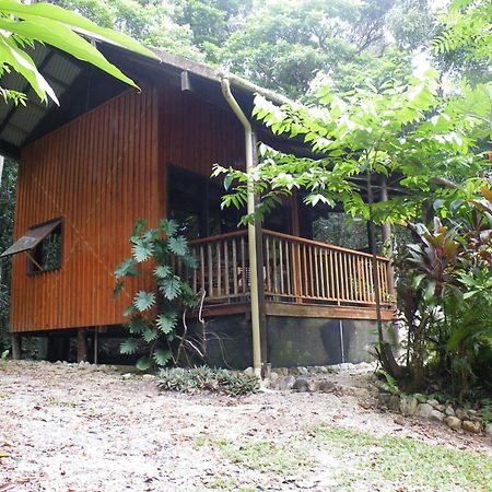 Epiphyte B & B Cow Bay Εξωτερικό φωτογραφία