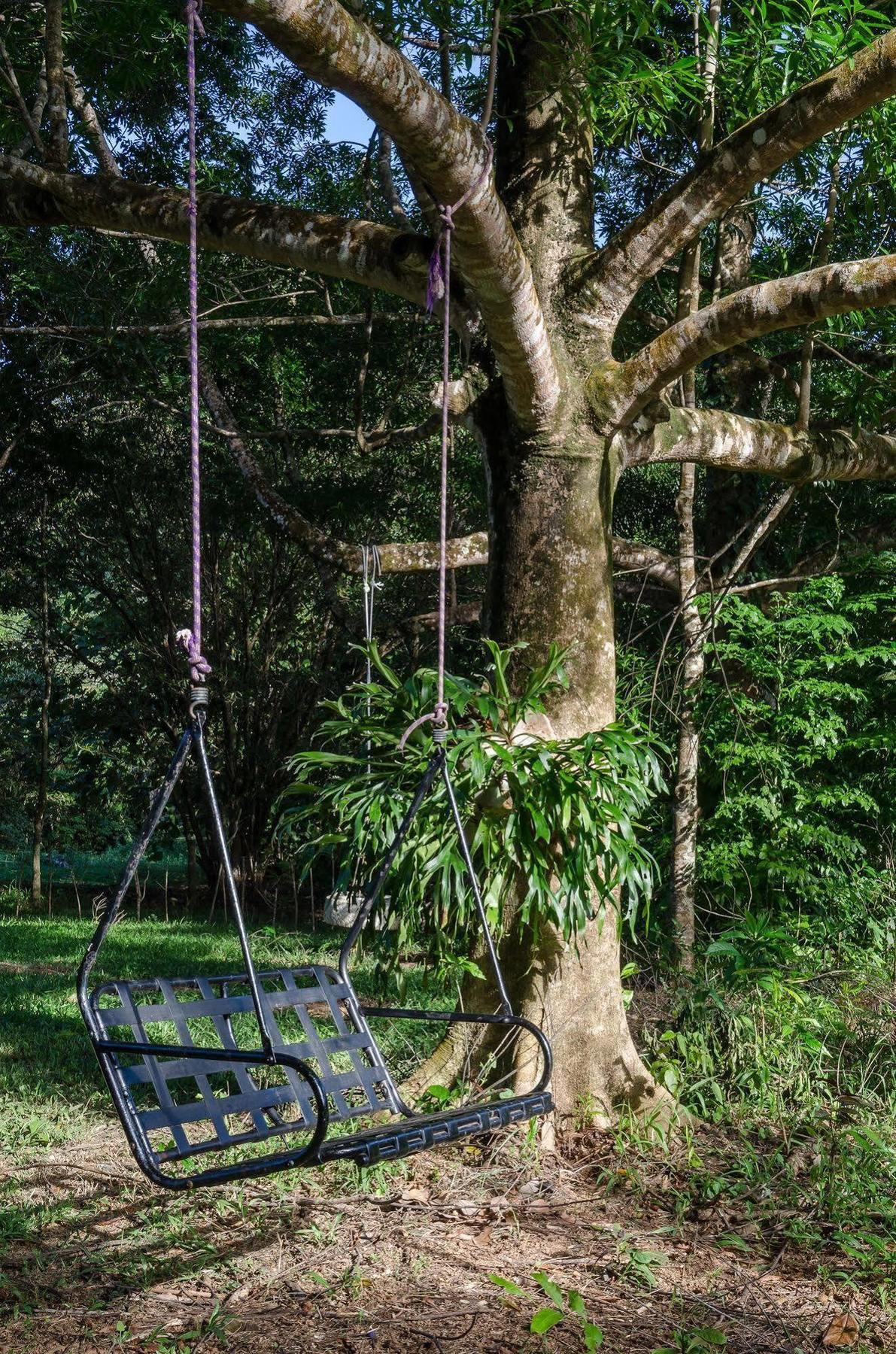 Epiphyte B & B Cow Bay Εξωτερικό φωτογραφία